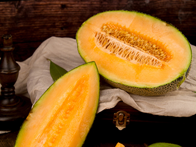 开云体育客户端APP下载基地展示三