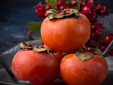 开云体育客户端APP下载基地展示四